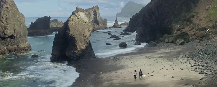 Lincoln County Oregon Beach