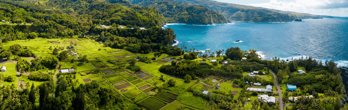 Ruling: Owner-occupied short-term rentals allowed on Hawaii County agricultural land