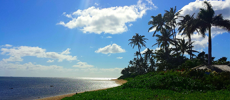 Hawaii beach