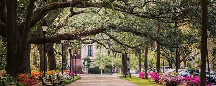 Vrbo, Airbnb collect state sales tax from Georgia short-term rental hosts